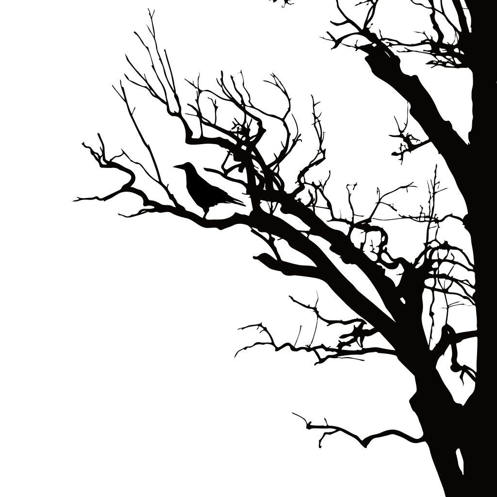 realistic vector silhouette of sitting raven on dry tree branch, isolated on white background